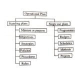 What is management planning