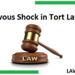 Nervous Shock in Tort Law