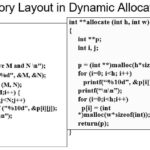 Dynamic Memory Allocation Array in C