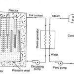 Layout of Nuclear Power Plant