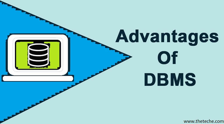 Advantages of Using the DBMS Approach