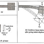 Undamped free transverse vibration