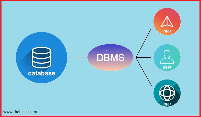 Workers Behind the Scene in DBMS