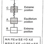 Vibration of a spring mass system