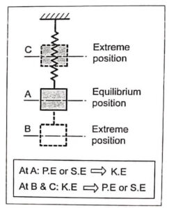 Vibration of a spring mass system