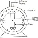 Sectional view of a salient pole alternator