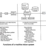 Functions of a machine vision system