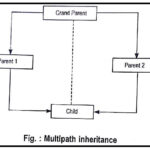 Multipath inheritance