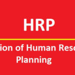 Definition of Human Resource Planning