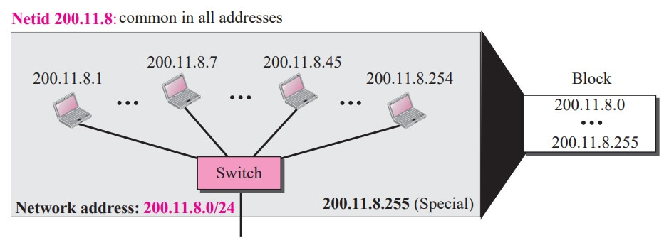 Netid 200.11.8