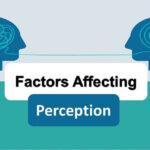 Factors Influencing Perception