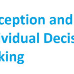 Perception and Individual Decision Making