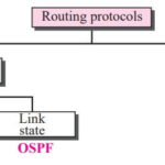 Popular routing protocols