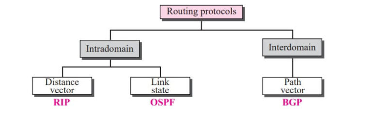 Popular routing protocols