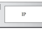 Position of ARP in TCP-IP protocol suite