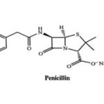 Penicillin