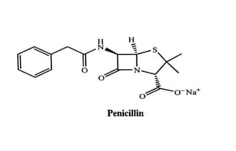 Penicillin