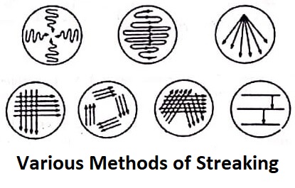 Various Methods of streaking