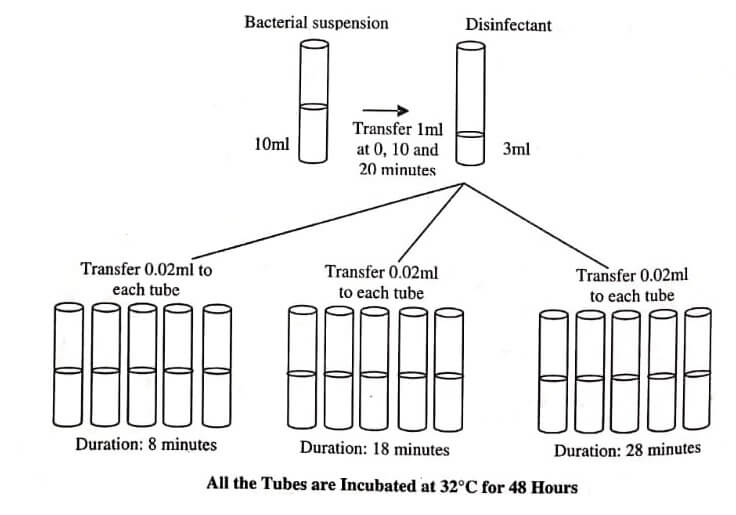 All the Tubes are Incubated at 32C for 48 Hours