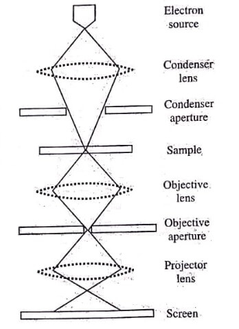 Basic Construction of Transmission Electron Microscope (TEM)