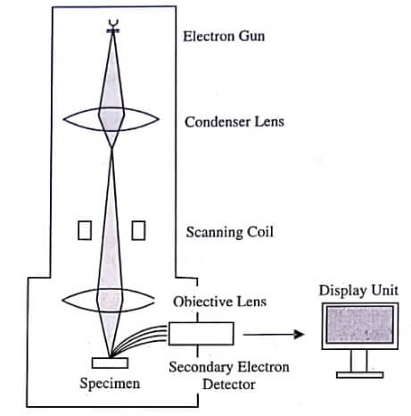 Basic Construction of a SEM