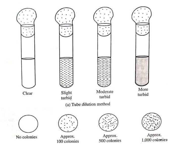 Evaluation of Disinfectants by (a) Tube Dilution and (b) Agar Plate Methods