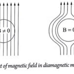 Effect of magnetic field in diamagnetic material