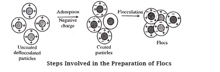 Steps Involved in the Preparation of Flocs