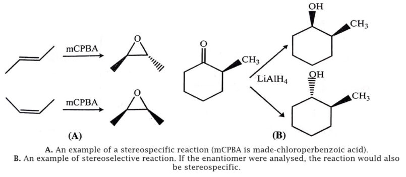 Stereospecific Reaction