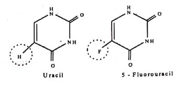 Fluorine atoms