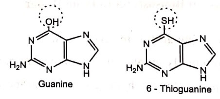 Guanine