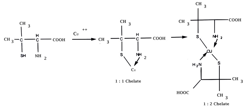 Importance of Chelates in Medicine