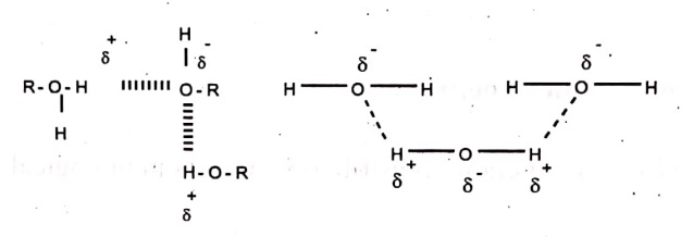 Intermolecular Hydrogen Bonding