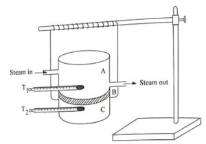 Lee's disc apparatus