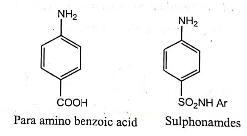 Para amino benzoic acid