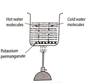 Process of Convection