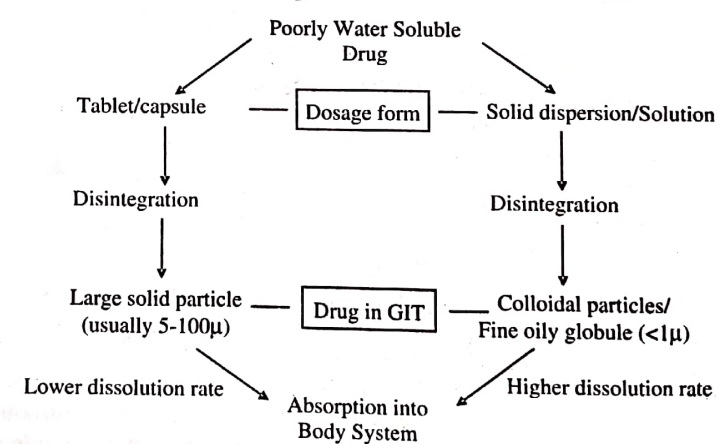 Schematic Representation of Bioavailability