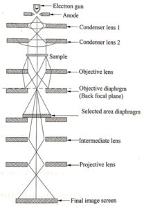 Transmission Electron Microscope