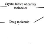 Types of Crystalline Solid Solution