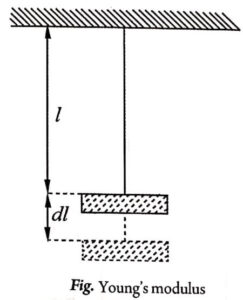 Youngs modulus