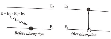 Absorption