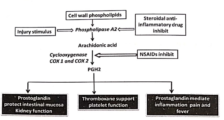 Mechanism of NSAIDs