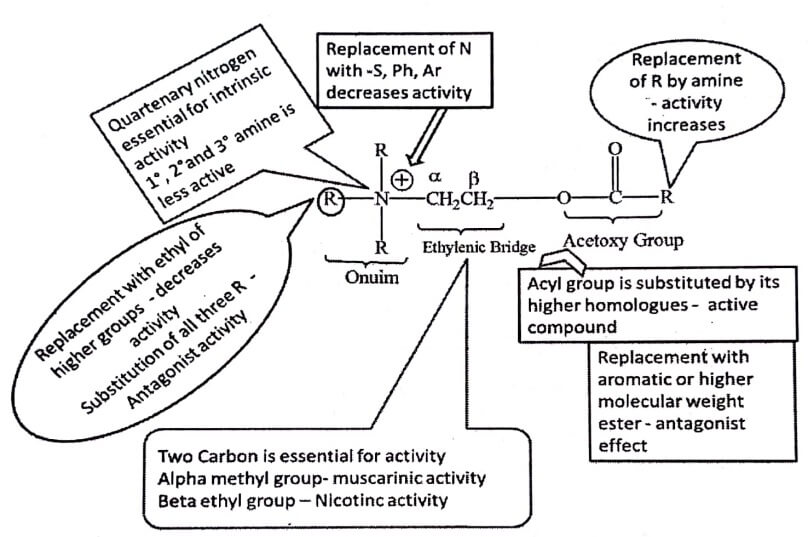 SAR Summary of cholinomimetic