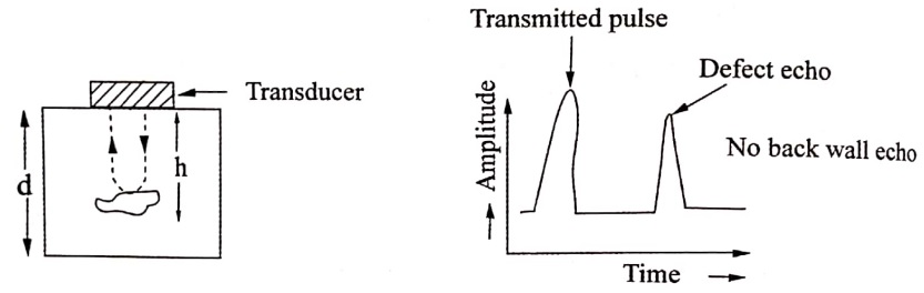 Specimen with large effect