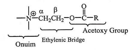 Structure Activity Relationship