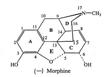 Structure Activity Relationship