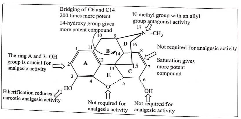 Summary of SAR