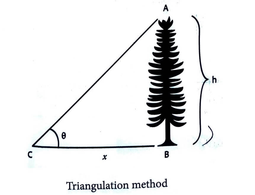 Triangulation method