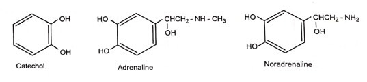 catechol