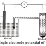 Single Electrode Potential of Zinc